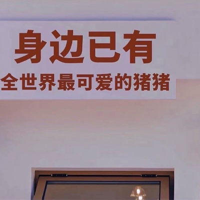 宠物狗知识大全